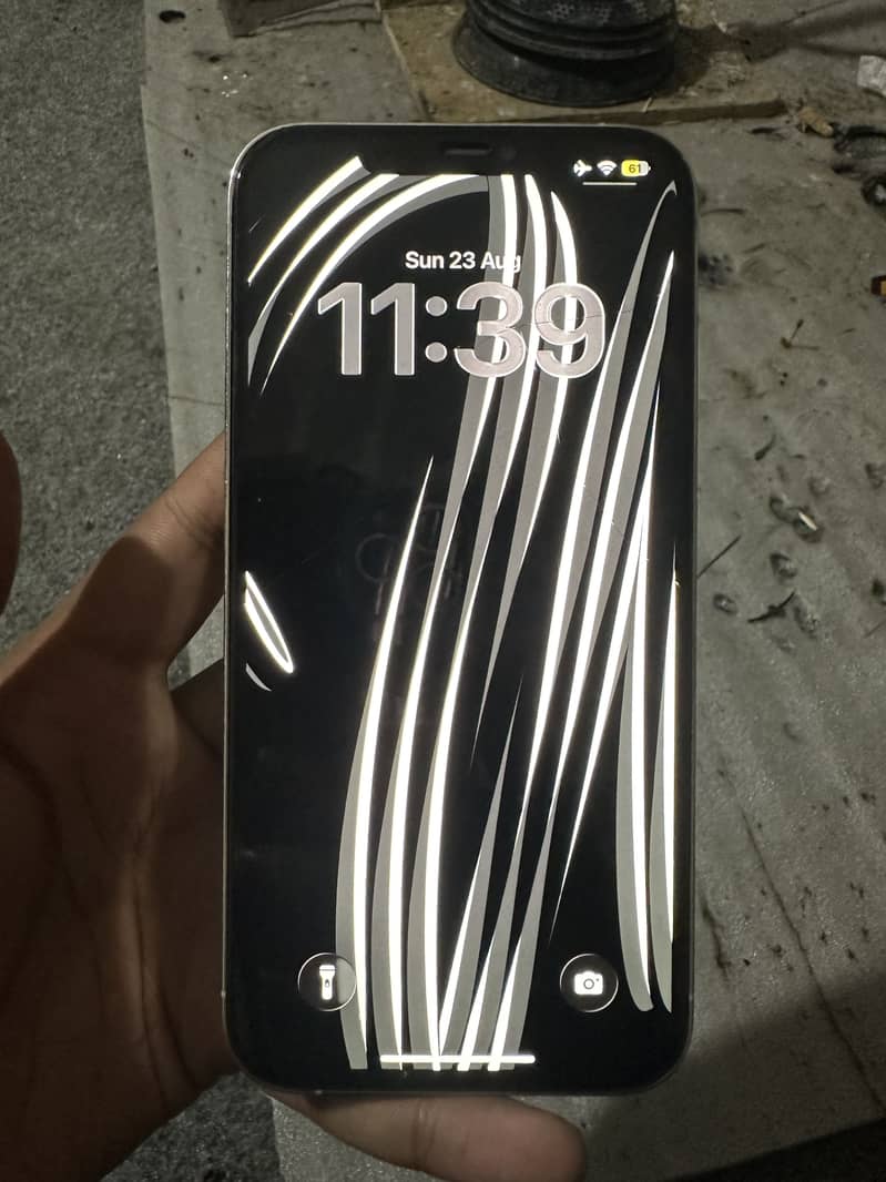 Apple iPhone 12 Pro Max 2