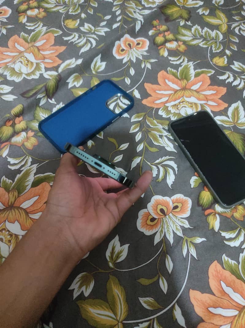Apple iPhone 13 Pro Max 2