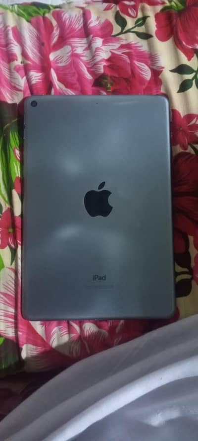 Ipad Mini 5Th gen 64GB 84 battery health