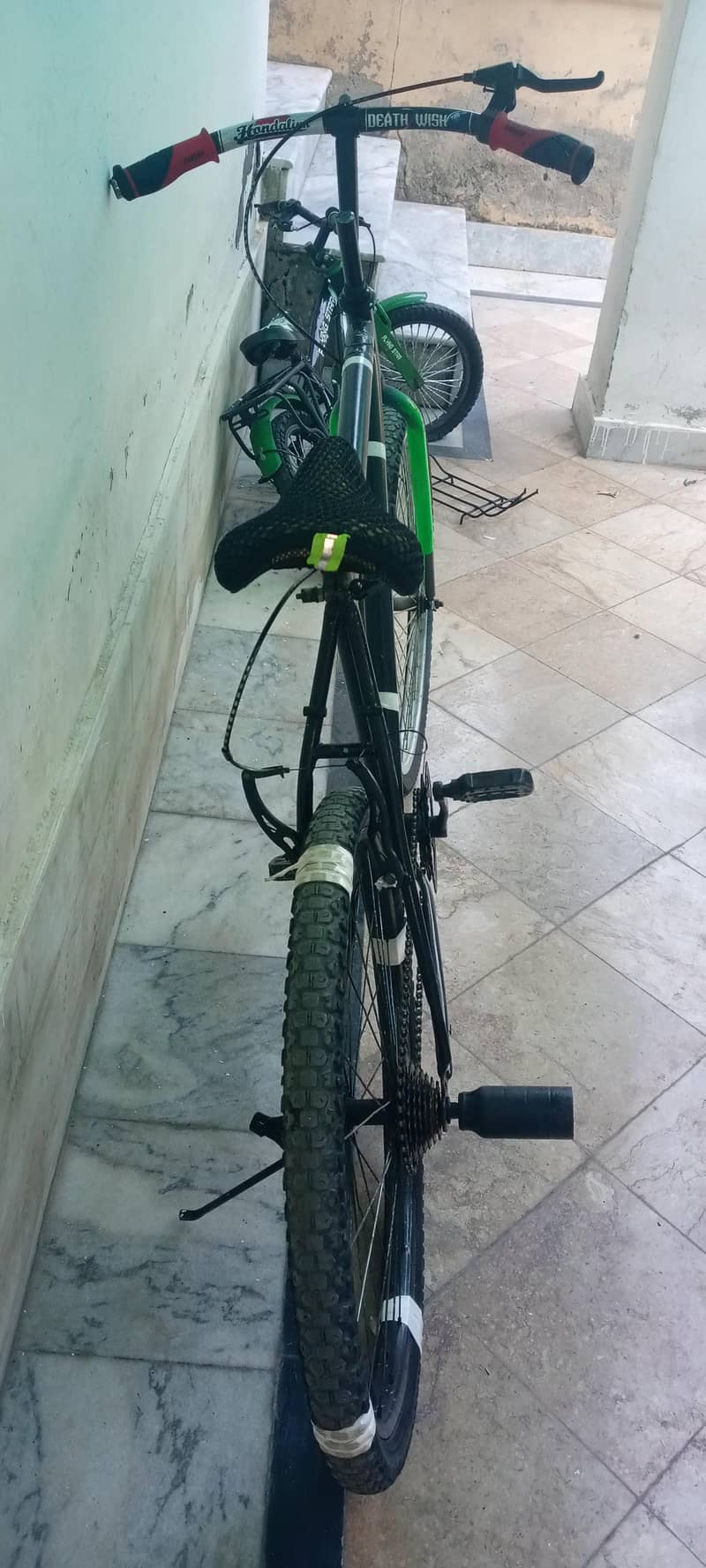 phonix cycle 1