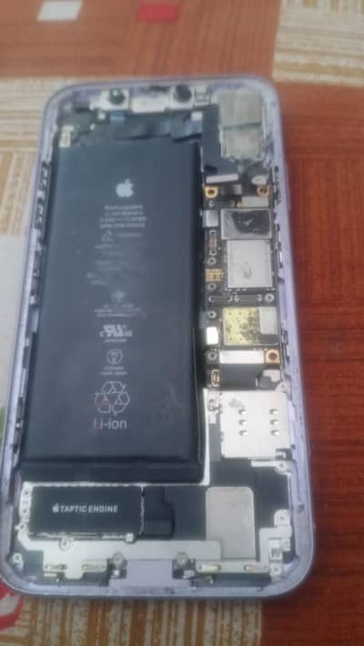 Apple iPhone 11