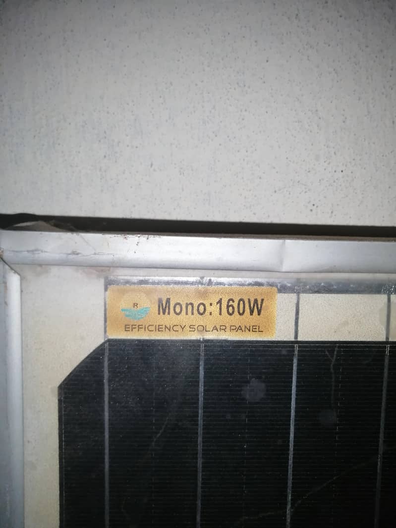 monoo 1