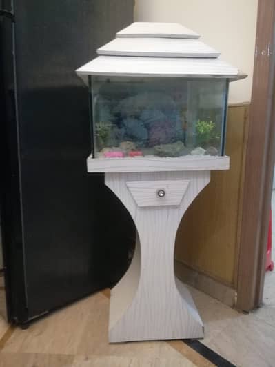 Fish Aquarium
