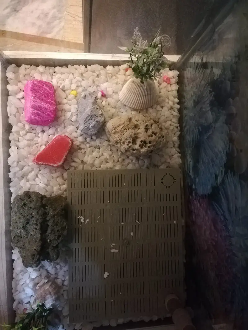 Fish Aquarium — photo 2