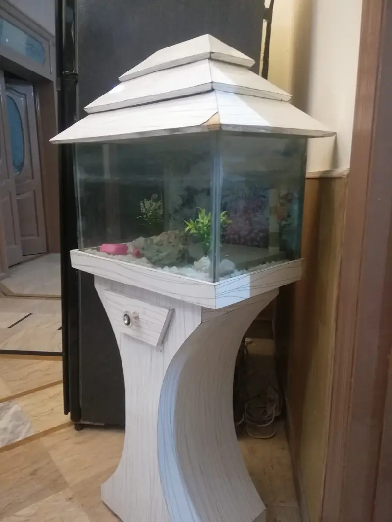Fish Aquarium — photo 4