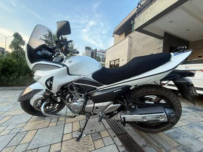 Suzuki Inazuma 2023