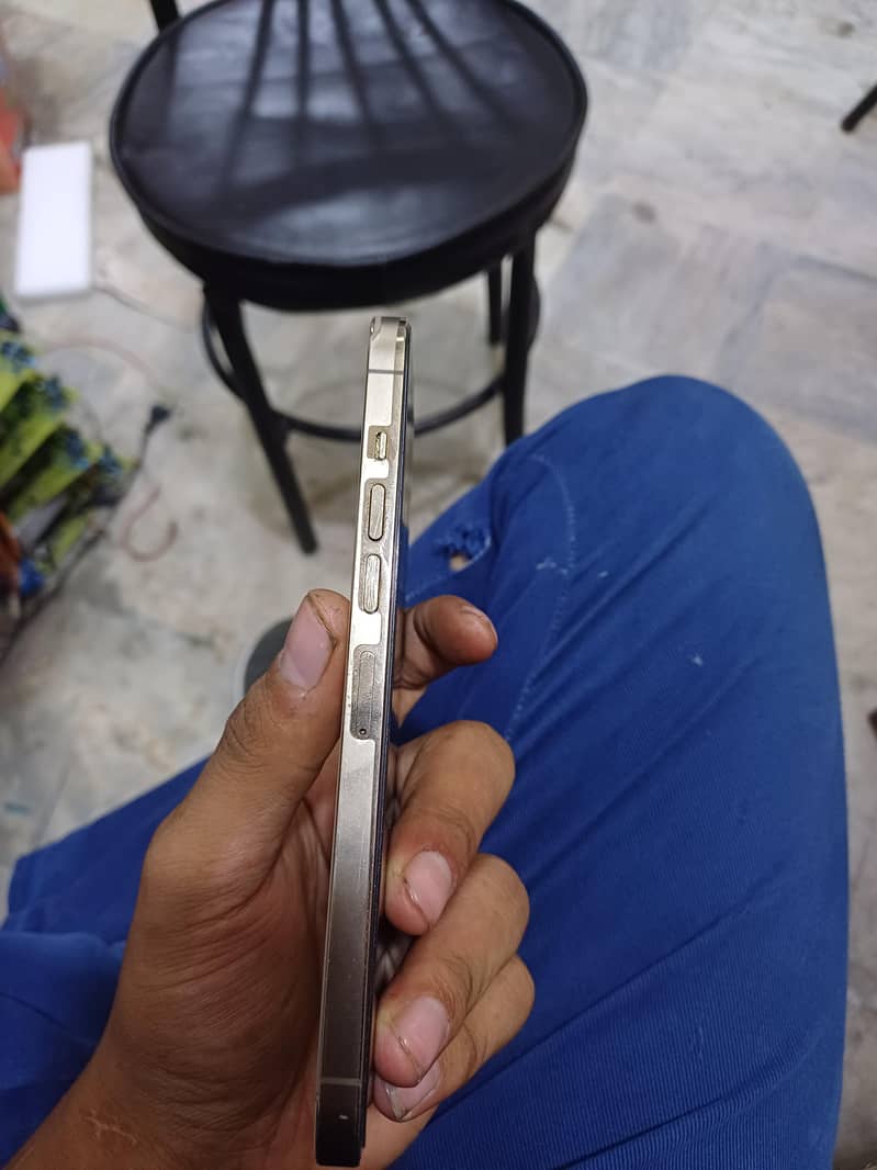 Apple iPhone 13 Pro Max 3