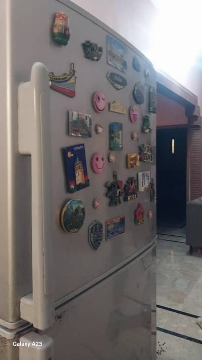 Best home fridge 10 on 10 condition