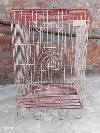Bird Cage