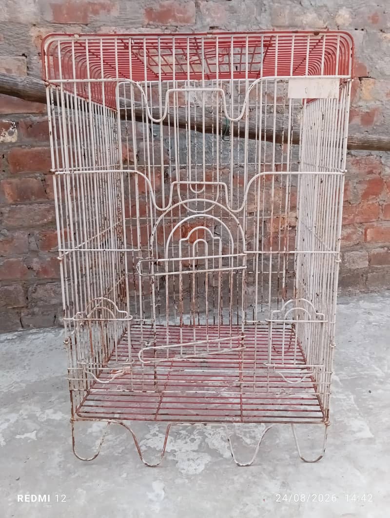 Bird Cage 1