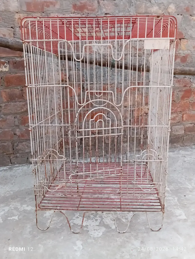 Bird Cage — photo 2