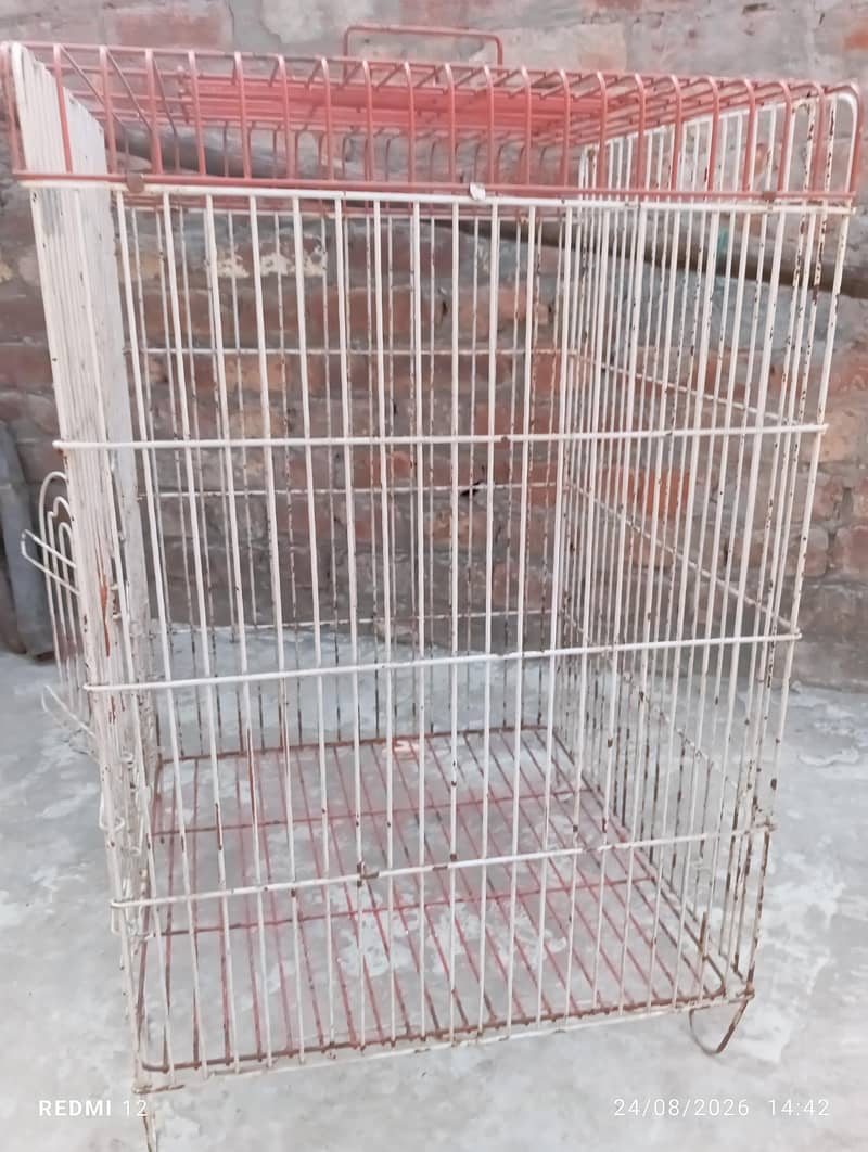 Bird Cage 2