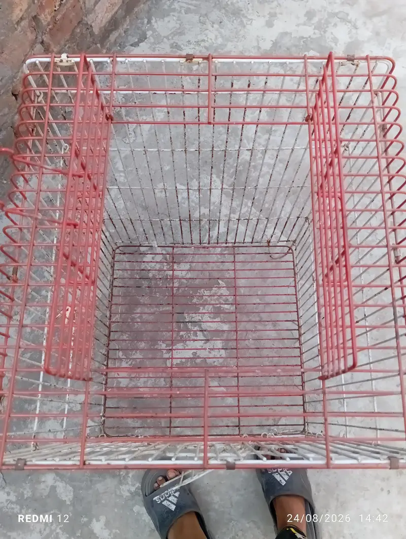 Bird Cage — photo 4
