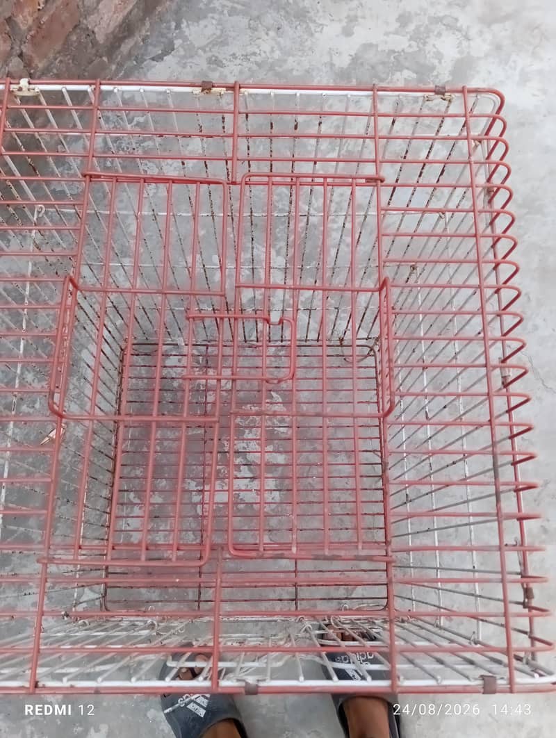Bird Cage 4