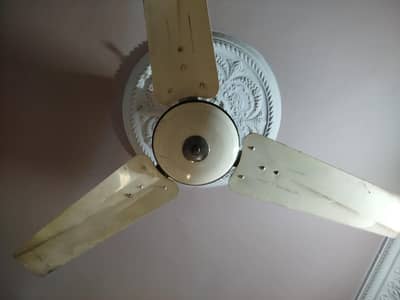 Pak Fans Celling Fan Hi-Speed Running Condition