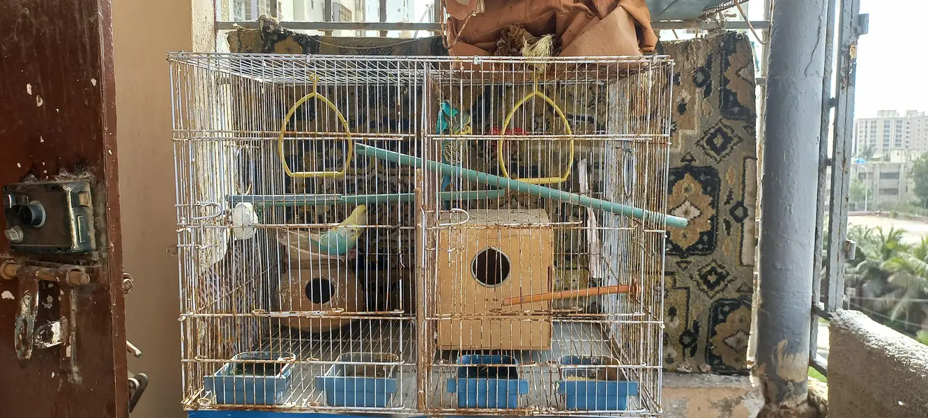 2 breder pairs hain 1 King size hai — photo 4