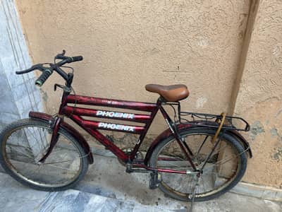 Phonenix cycle