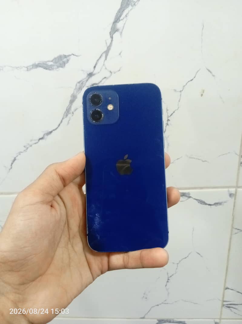 Apple iPhone 12 1