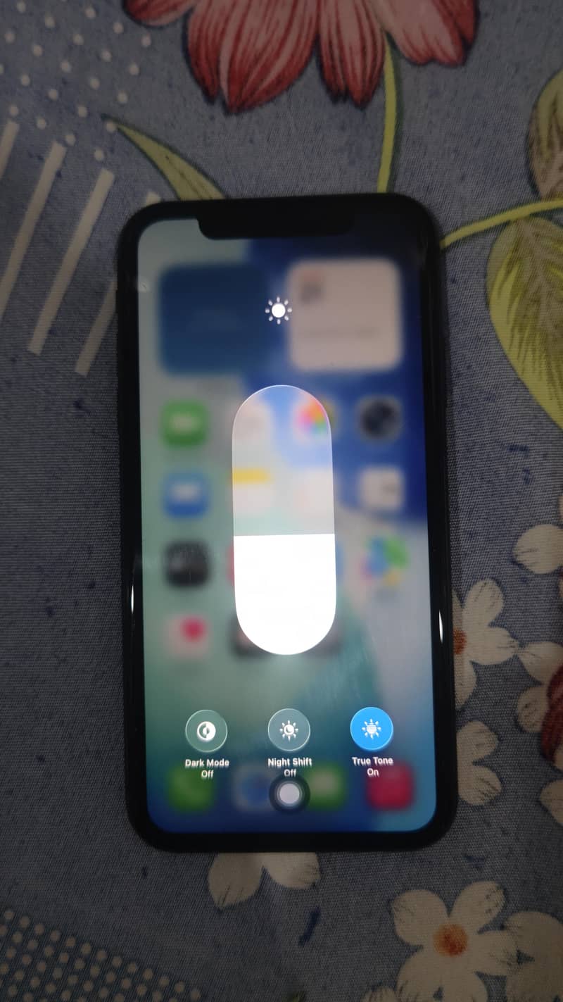 Apple iPhone 11 0