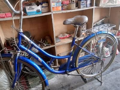 Japan cycle
