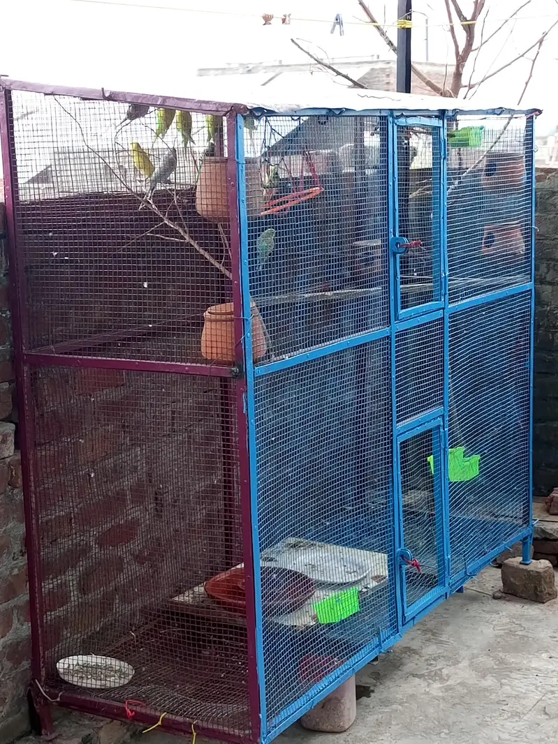 biggest offer big size gauge pinjra 6 lambai 5 chari — photo 4