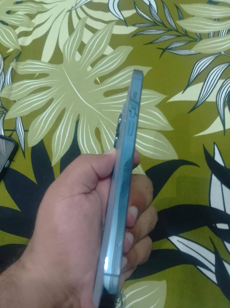 Apple iPhone 13 Pro Max 6