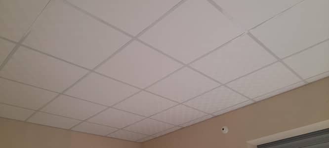 Fall ceiling