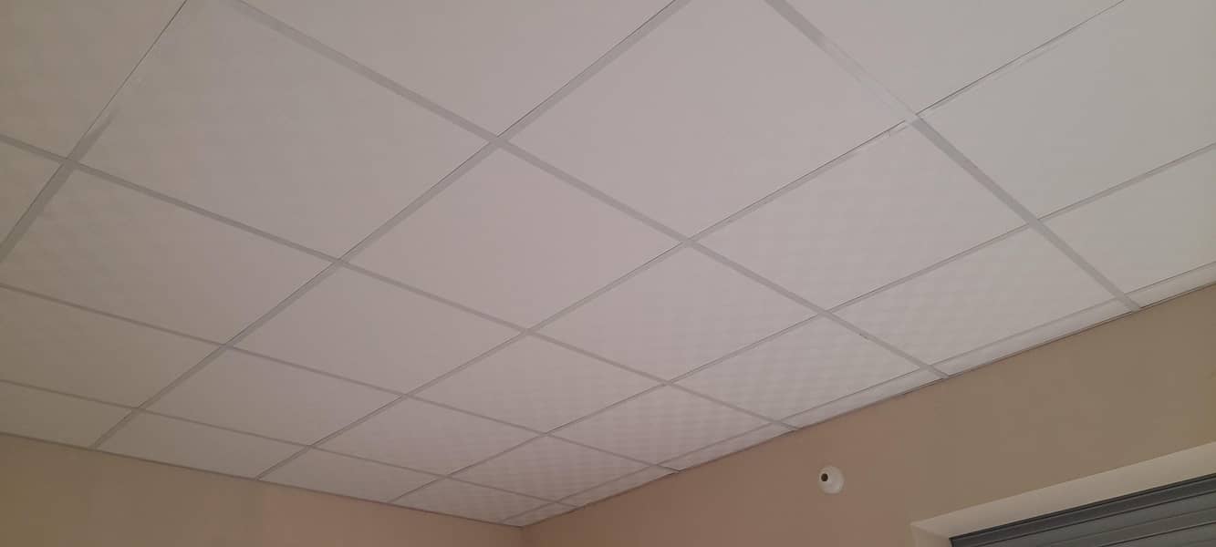 Fall ceiling 0
