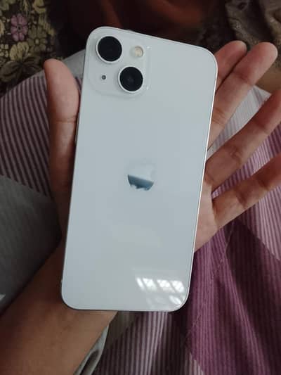 apple 13
