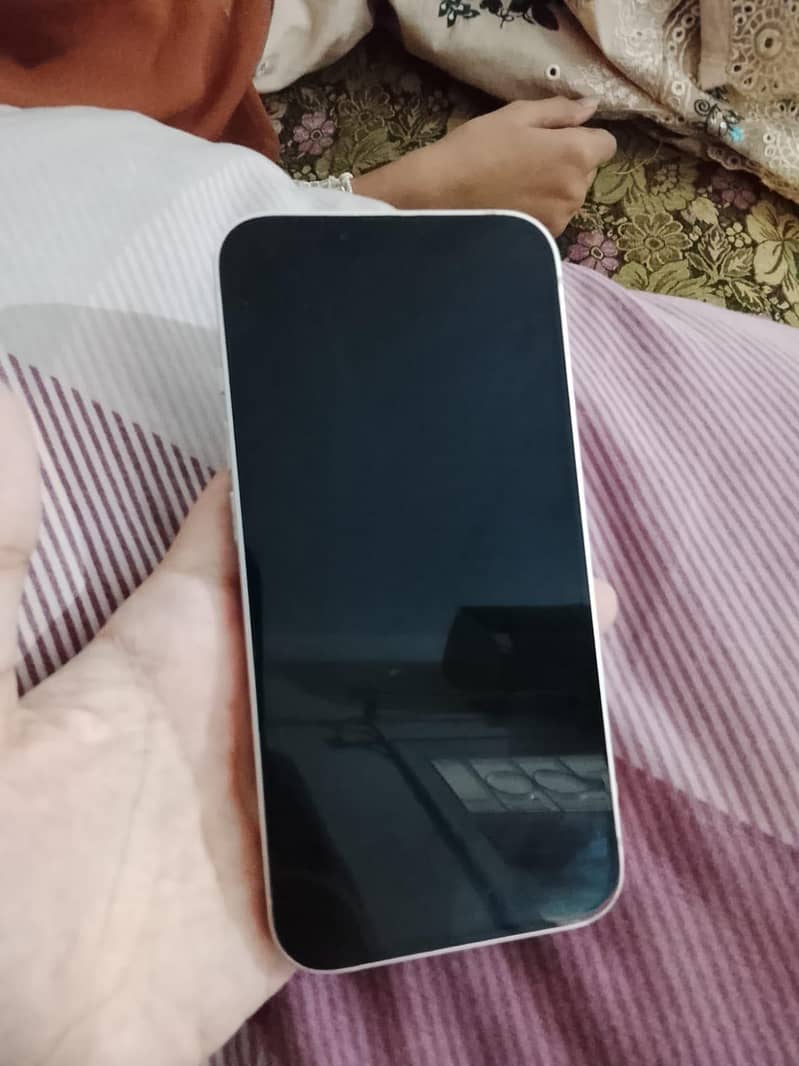 apple 13 1