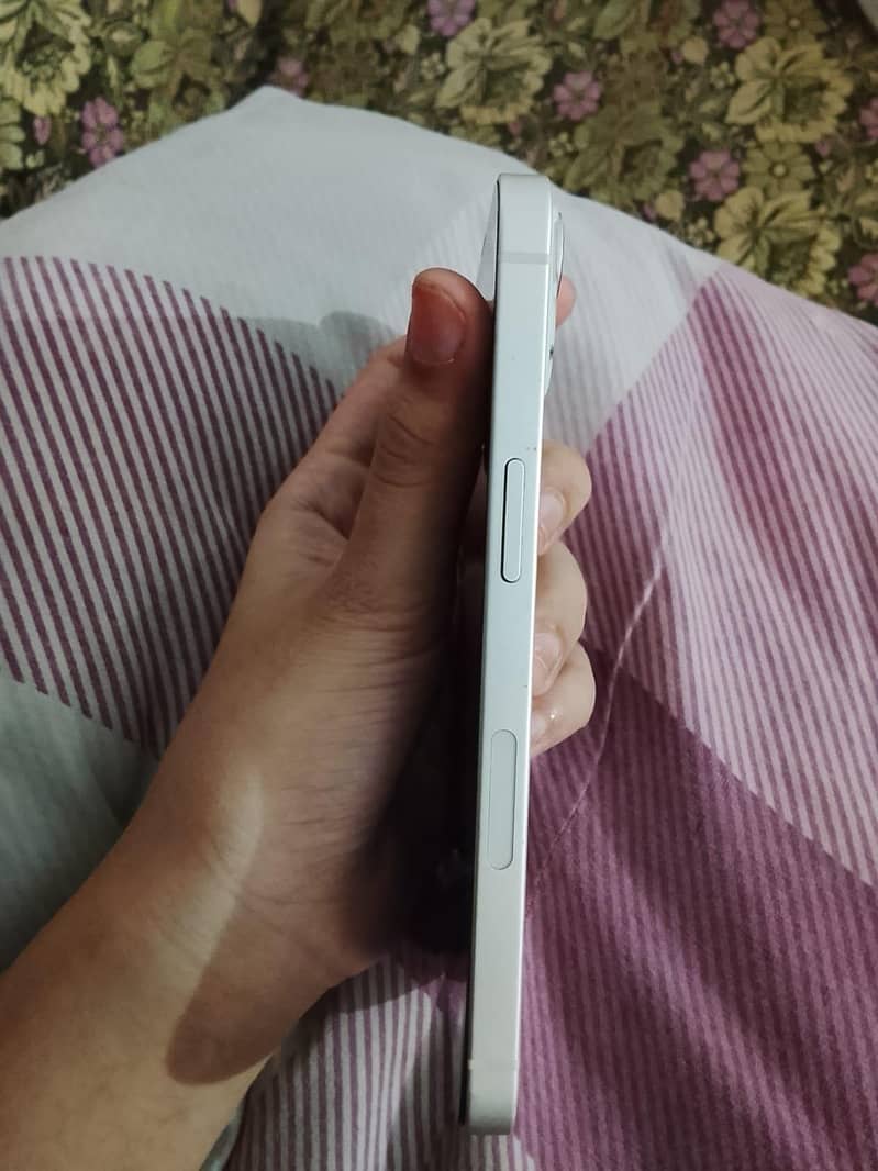 apple 13 3