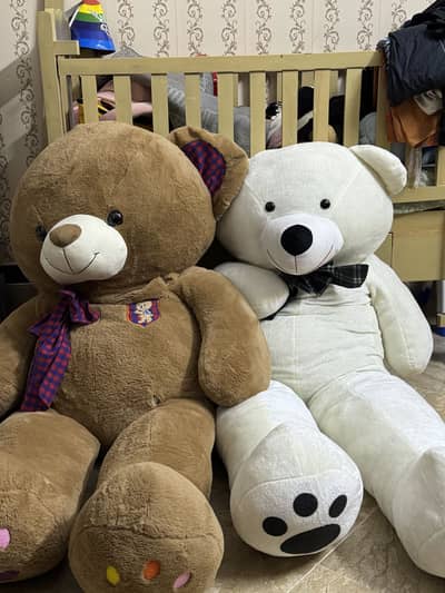 Human size teddy bears