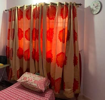 Curtains Golden  Pair