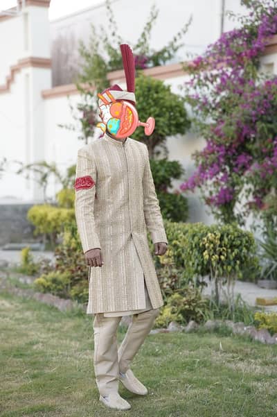 one day used sherwani for sale