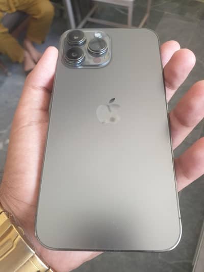 Apple iPhone 13 Pro Max