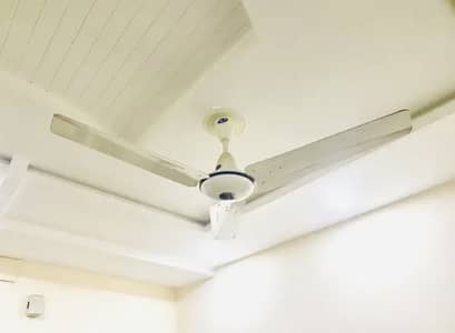 Slightly used 3 Cieling fans for sale a