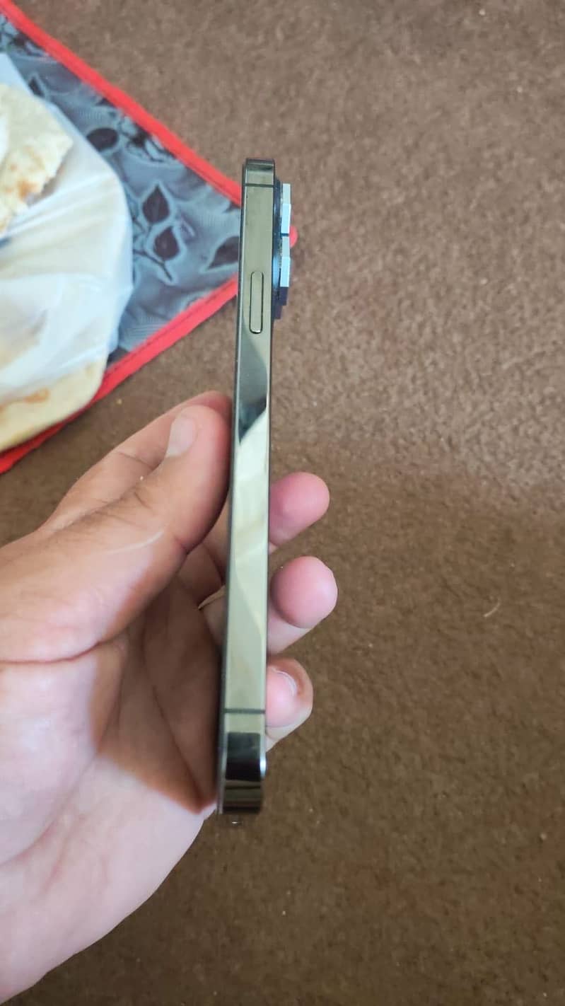 Apple iPhone 13 Pro Max 1