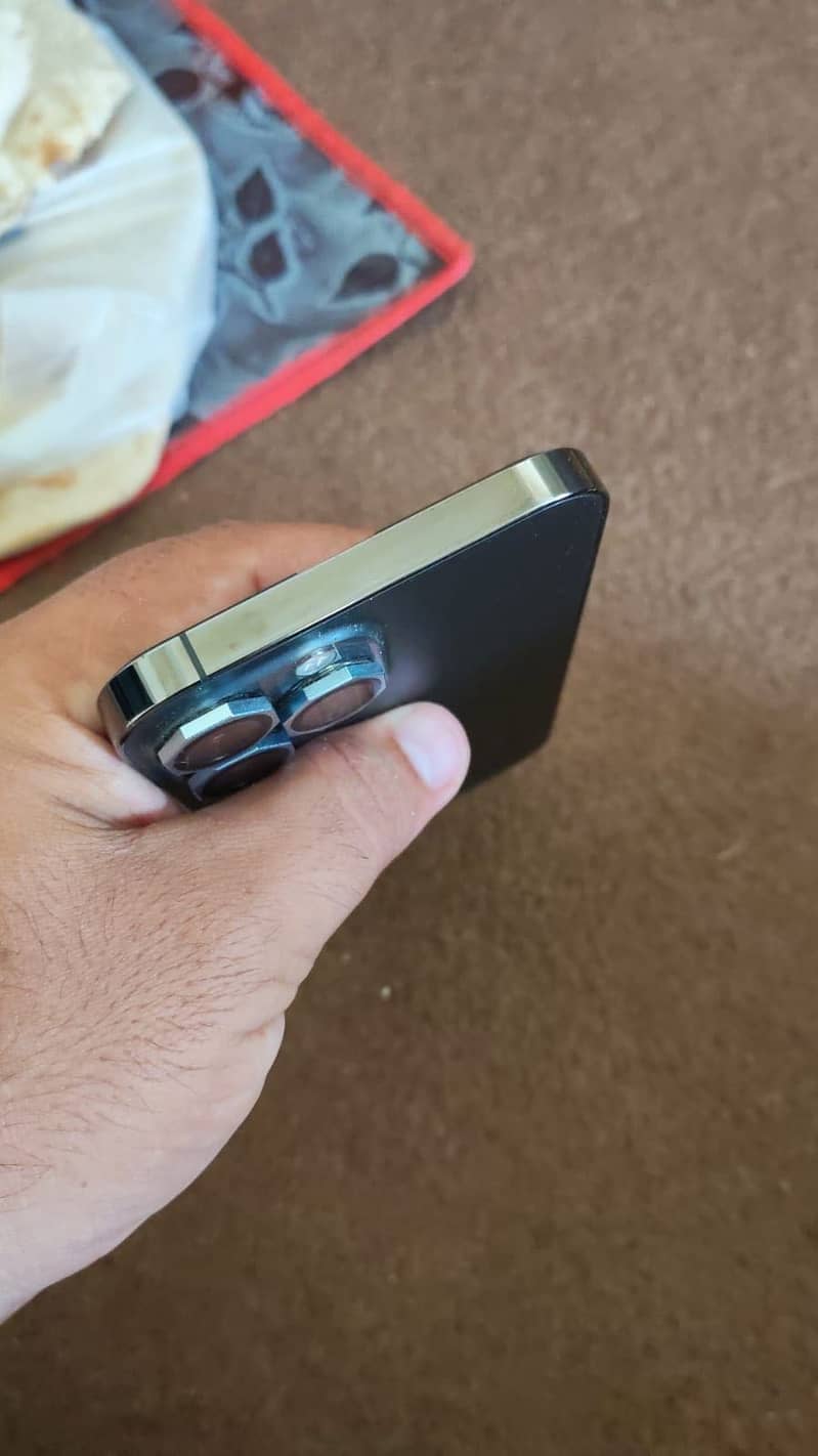 Apple iPhone 13 Pro Max 2