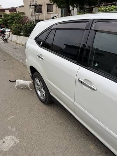 Toyota Harrier 2014