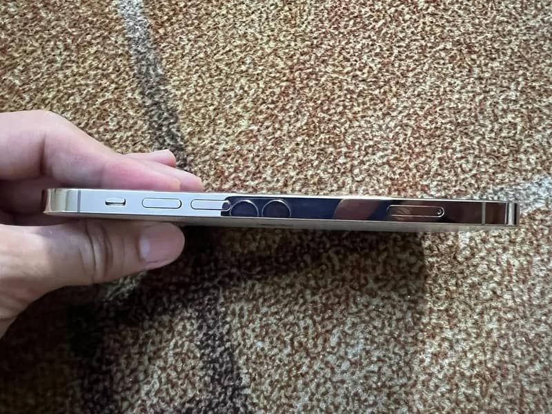 Apple iPhone 12 Pro 1
