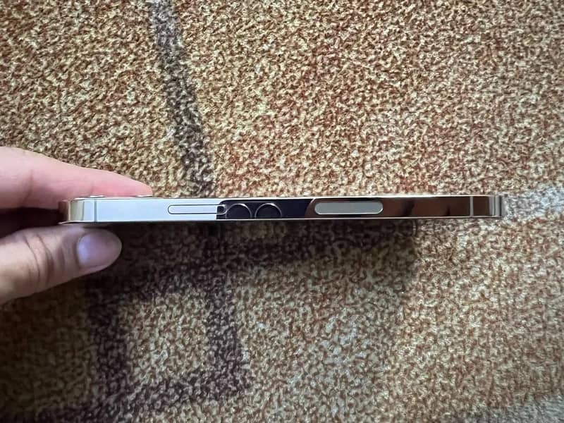 Apple iPhone 12 Pro 3