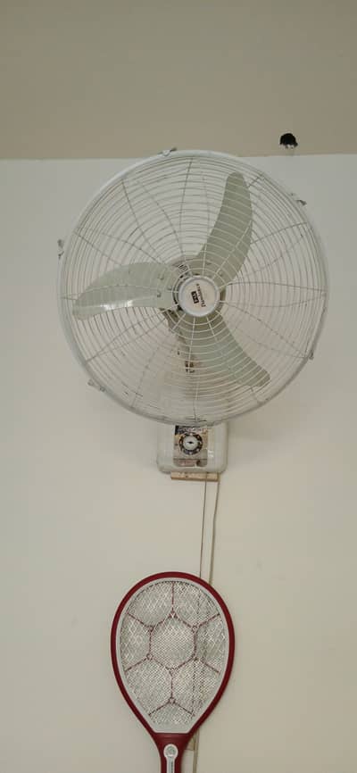 wall fan 99.9% copper motor