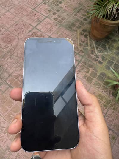 Apple iPhone 12