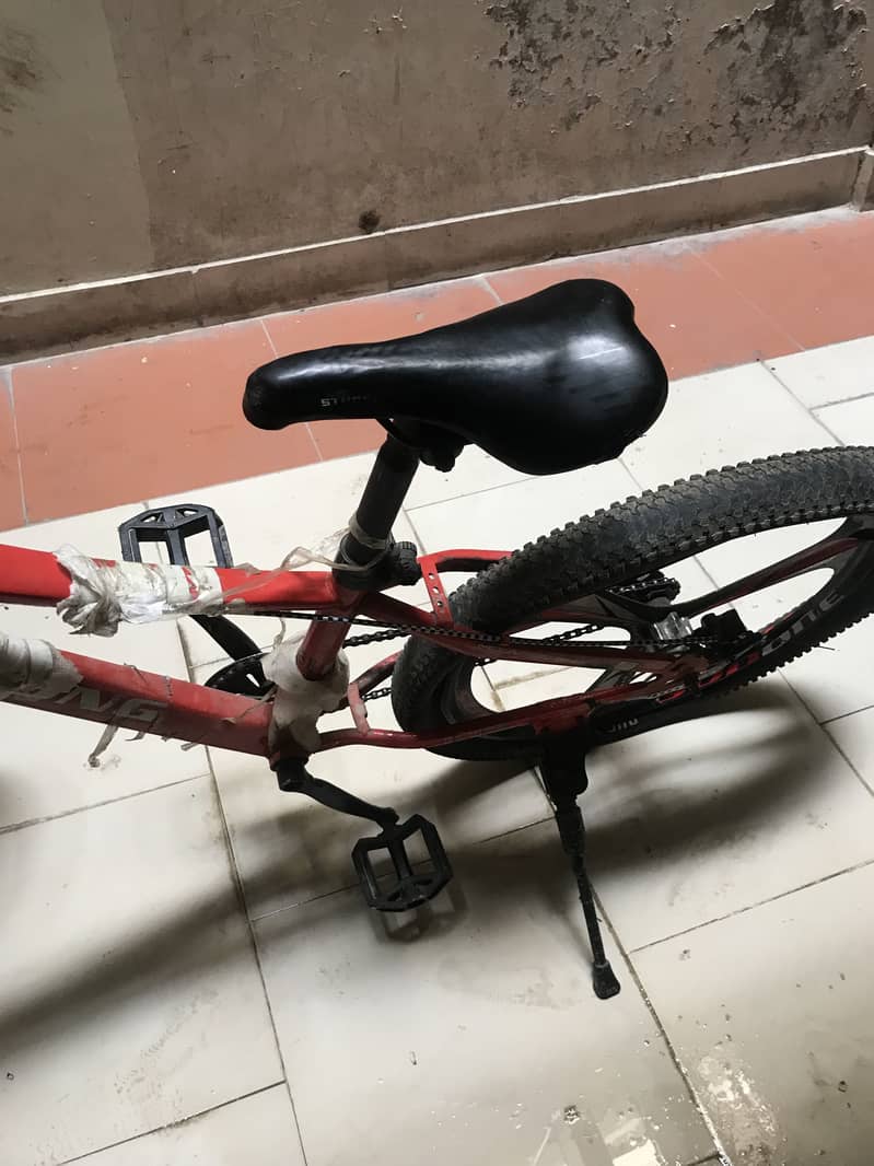 Cycle 3
