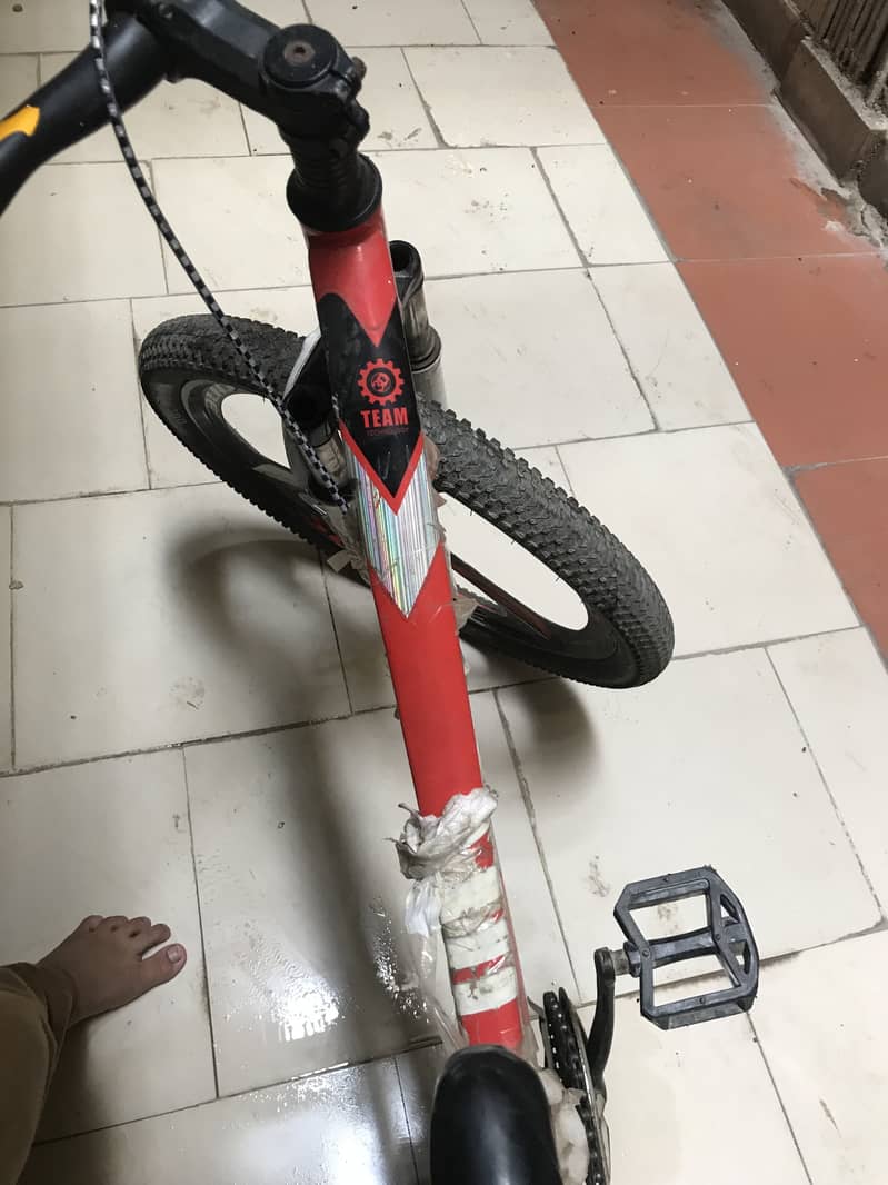 Cycle 6