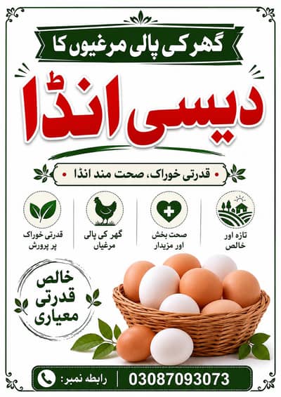 Austerloop Desi Anda , Fresh eggs,