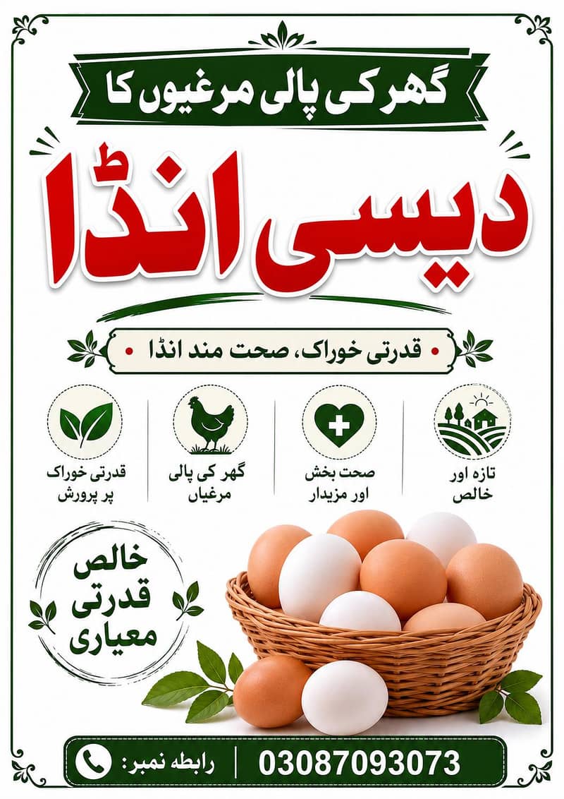 Austerloop Desi Anda , Fresh eggs, 0
