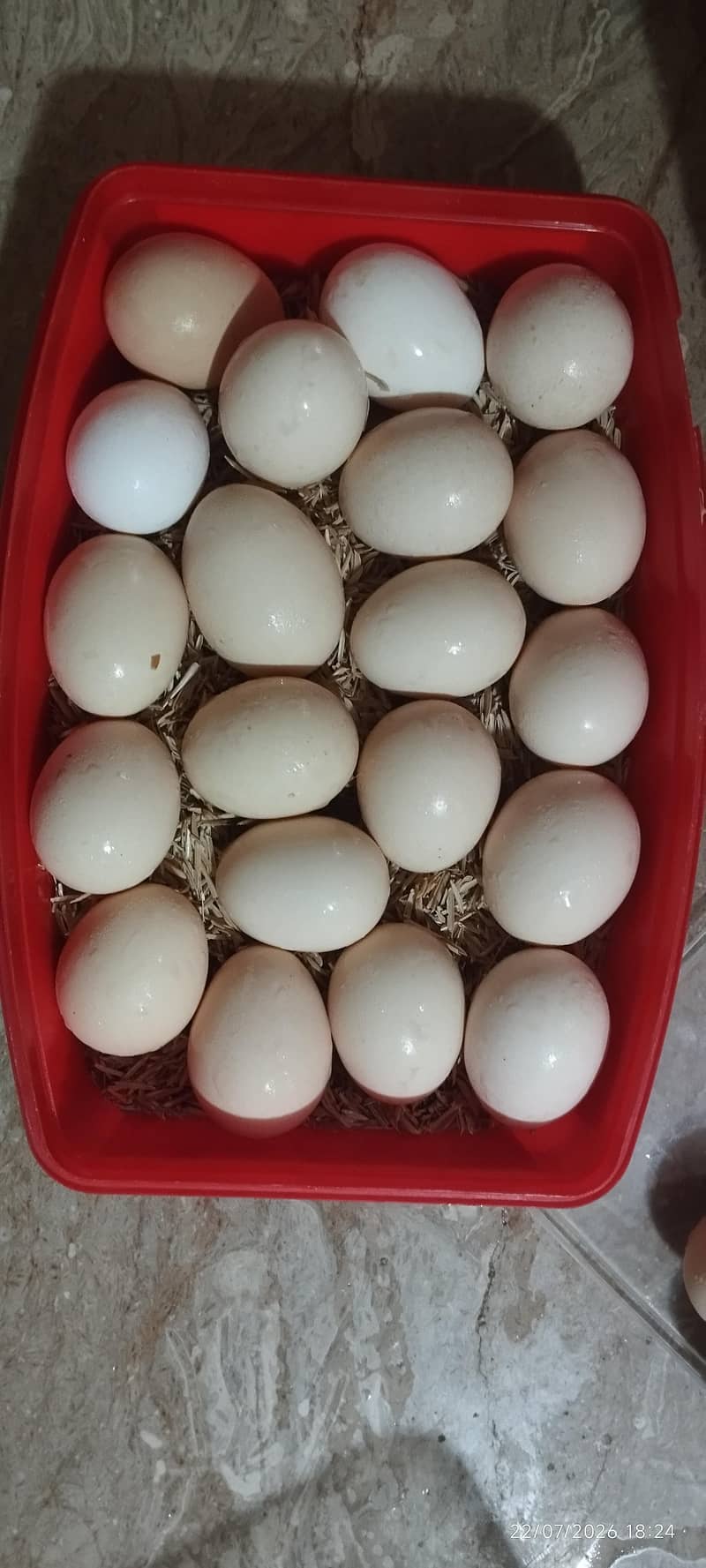Austerloop Desi Anda , Fresh eggs, 4
