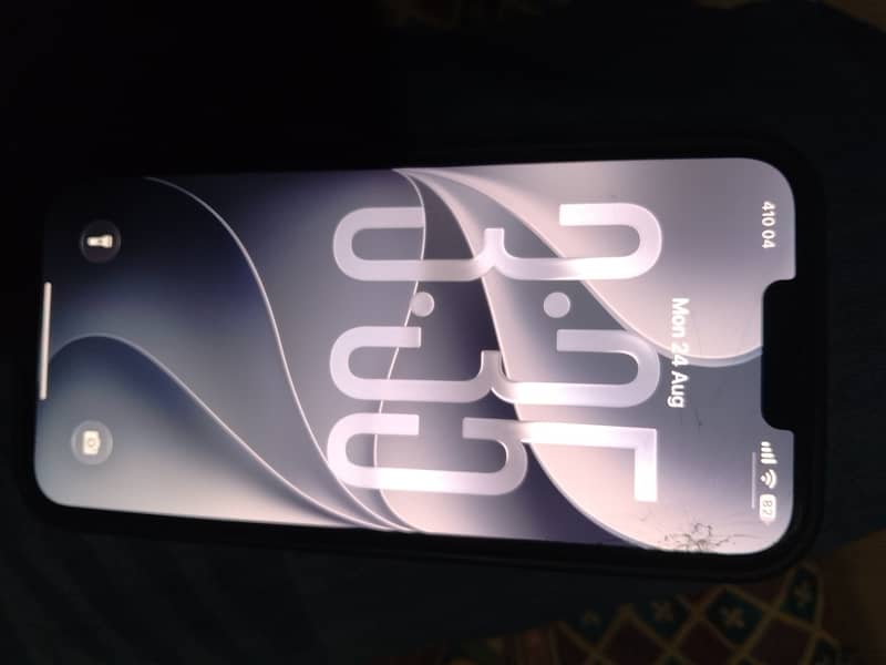 Apple iPhone 13 Pro Max 1