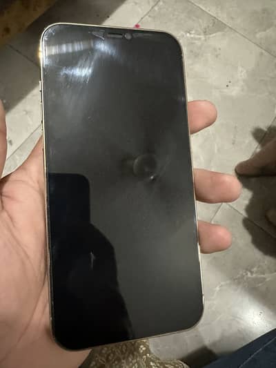 Apple iPhone 12 Pro Max